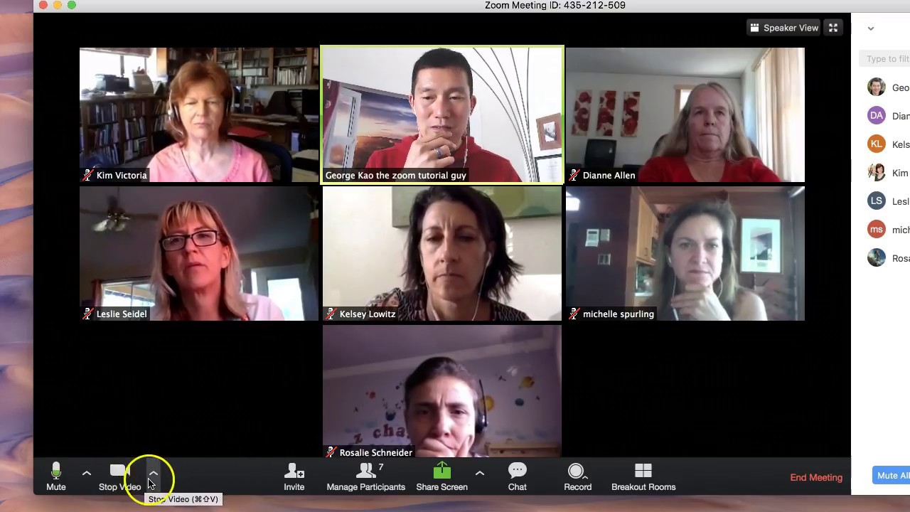 Zoom Meeting